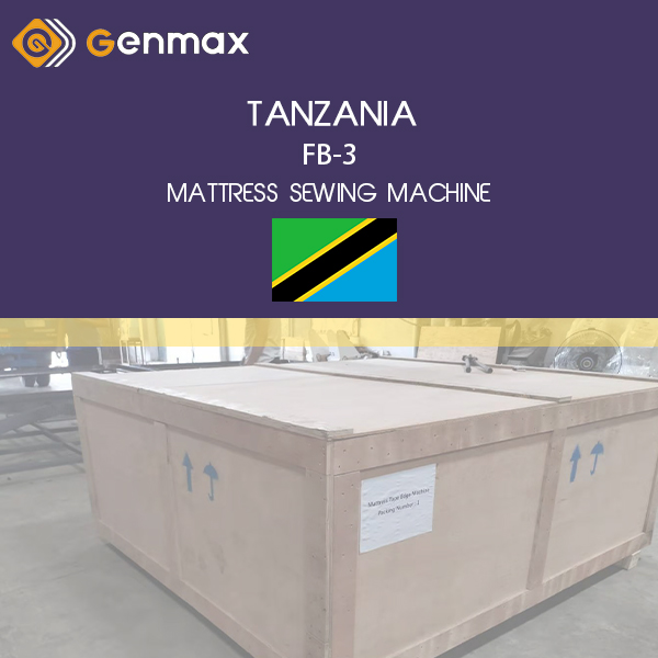 TANZANIE-FB3-MACHINE A COUDRE MATELAS