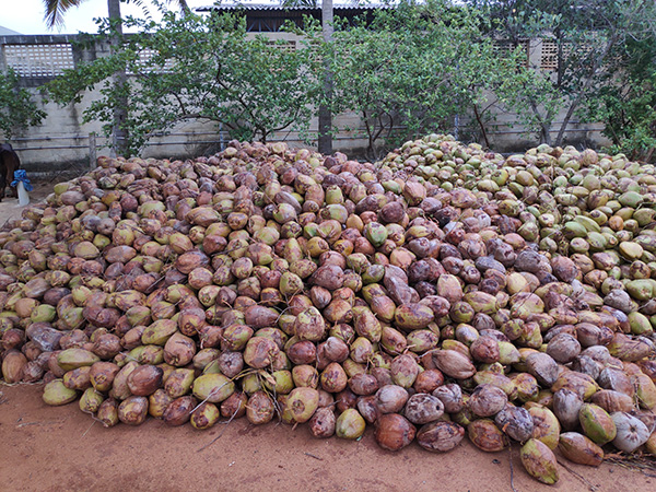 machine à matelas genmax 18